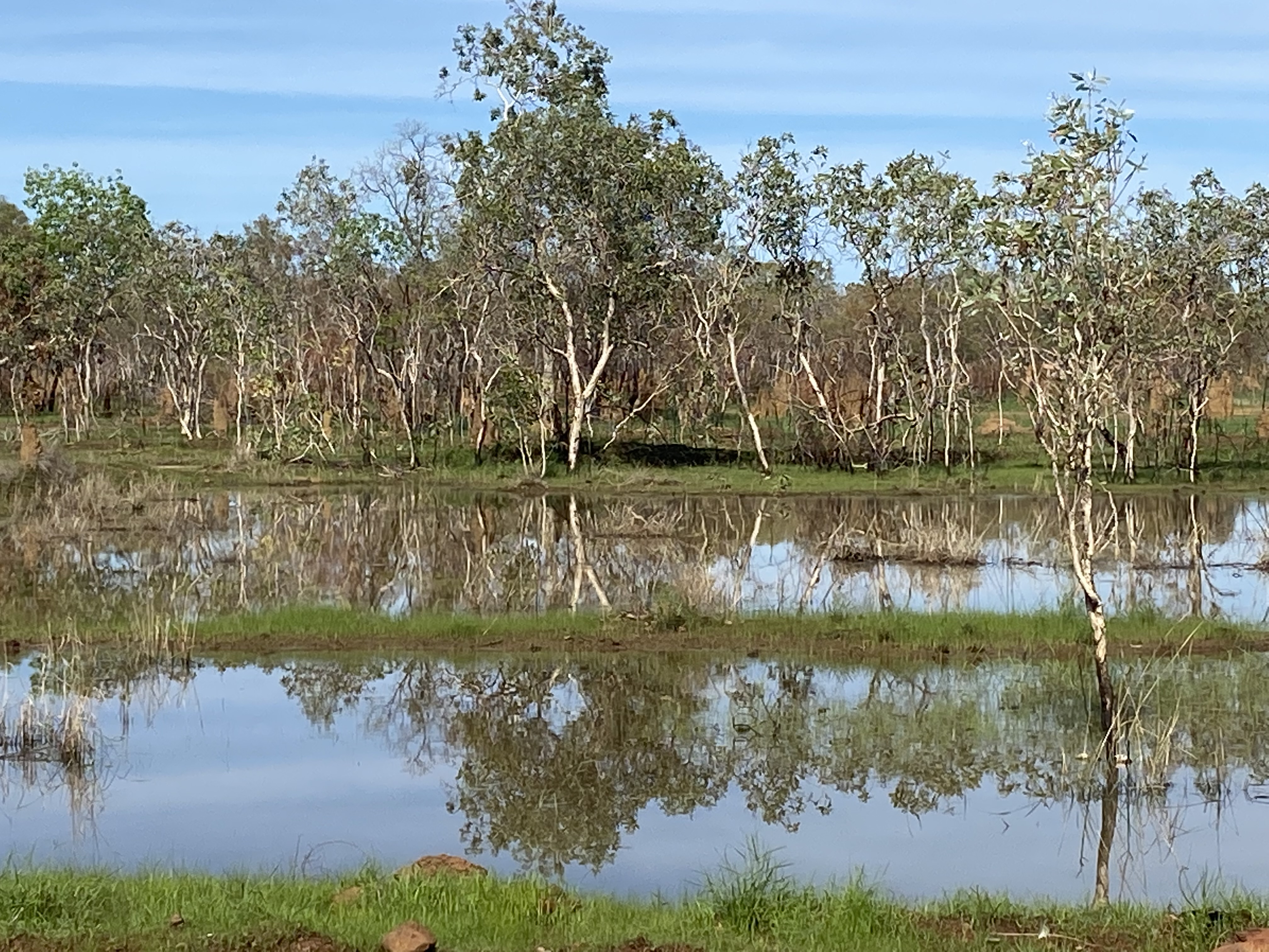 NACS Indigenous Community Partnership